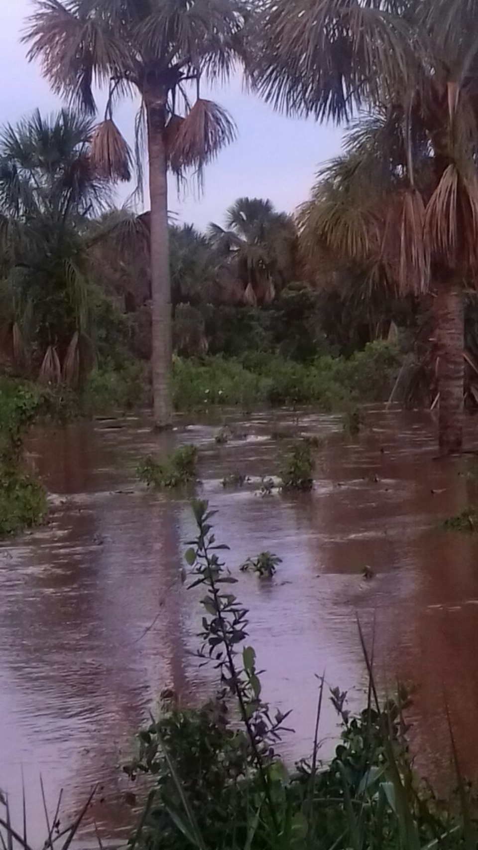 Estrada Vicinal Fica Intransit Vel Ap S Chuvas Fortes Dos Ltimos Dias