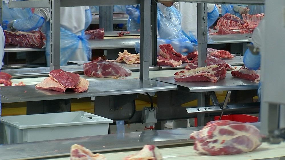 Frigoríficos brasileiros poderão voltar a vender carne bovina in natura para os Estados Unidos — Foto: Reprodução/TV TEM