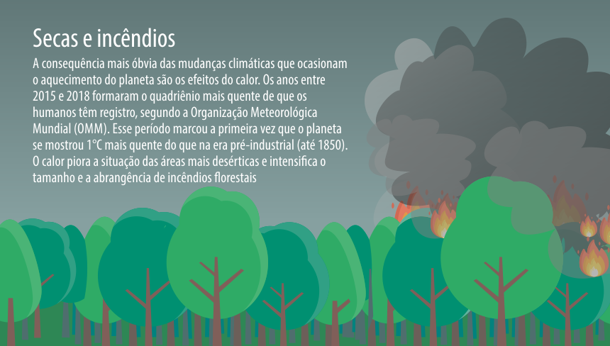 ENTENDA: Efeitos Das Mudanças Climáticas No Brasil E No Mundo ...