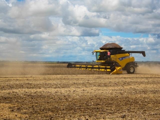 Volume exportado de soja em grãos caiu 35,88% em relação ao ano passado (Foto: Marcos Ermínio/Arquivo)