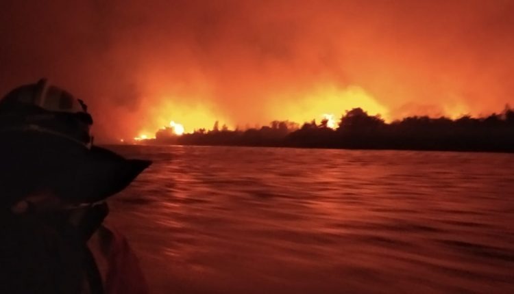 Pantanal em chamas (Divulgação, Corpo de Bombeiros)