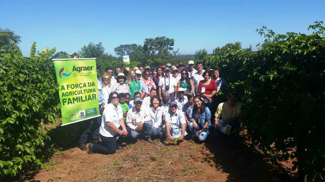 Agraer diz que agricultura Familiar de Três Lagoas está em pleno desenvolvimento. Foto: Reprodução