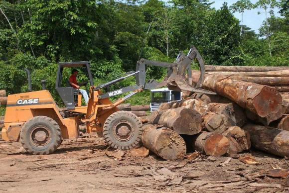 Efetivo da Força Nacional de Segurança  será usado para ações de combate ao desmatamento ilegal da Floresta AmazônicaArquivo/Agência Brasil