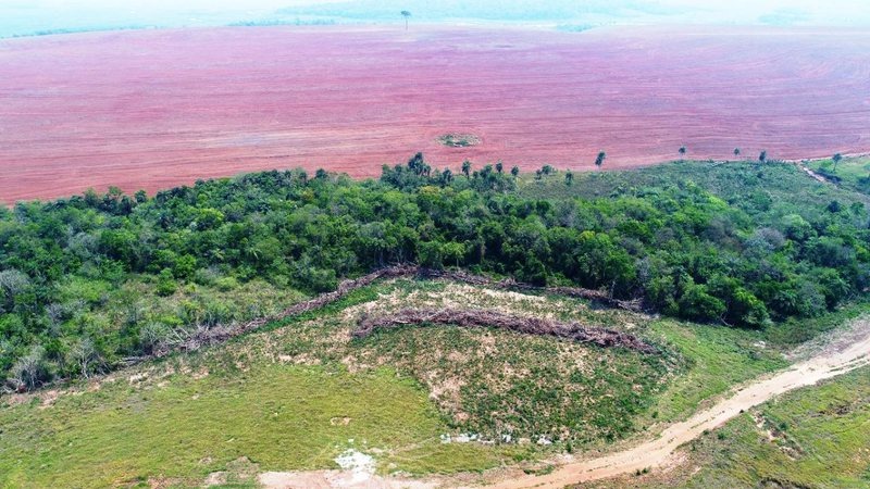 Área desmatada em Tacuru; Famasul destaca existência de 40% de áreas preservadas - Foto: PMA/Arquivo