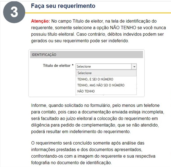 Acompanhe passo a passo de como deverá ser feito. Passo 3: Faça o seu requerimento. Foto: Divulgação / Reprodução