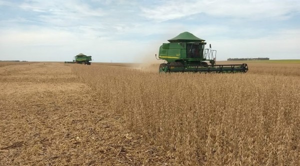 Mato Grosso do Sul colhe 13 milhões de toneladas de soja e bate recorde de produção — Foto: Milton Nantes/Aprosoja/MS