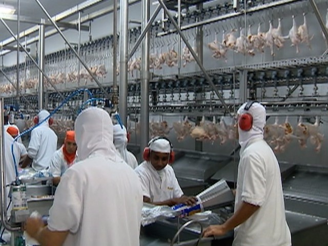 Rússa é quarto maior mercado da carne brasileira (Foto: Reprodução/TV Fronteira)