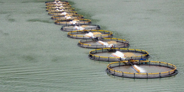 Tanques já foram instalados - Foto: Divulgação