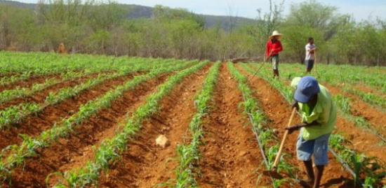 Trabalhadores em assentamento de Mato Grosso do Sul - Foto: Arquivo/Correio do Estado