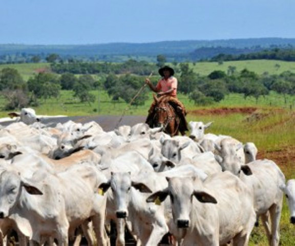 Foto: Correio do Estado